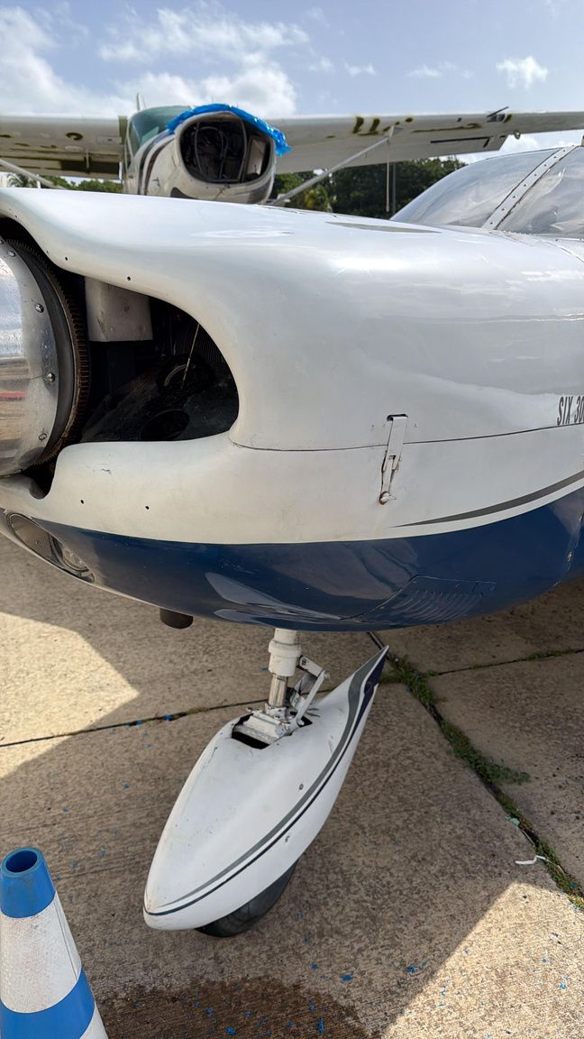 Aircraft engine cowling detail